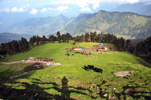 Chopta